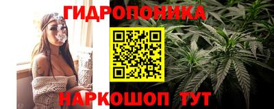 мяу мяу кристалл Тара