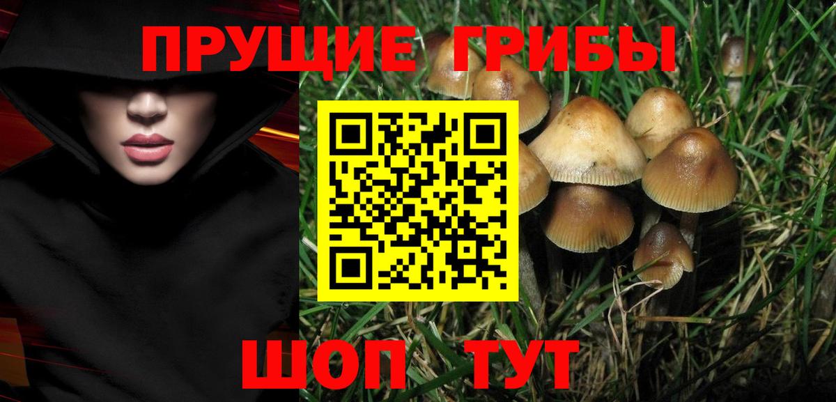 Новотроицк  Псилоцибиновые грибы мицелий  Вход с VPN 