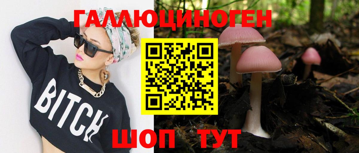 Псилоцибиновые грибы GOLDEN TEACHER Новотроицк